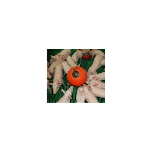 Jouet bien-être porc pour stocker et jouer avec des bouchons de fibre