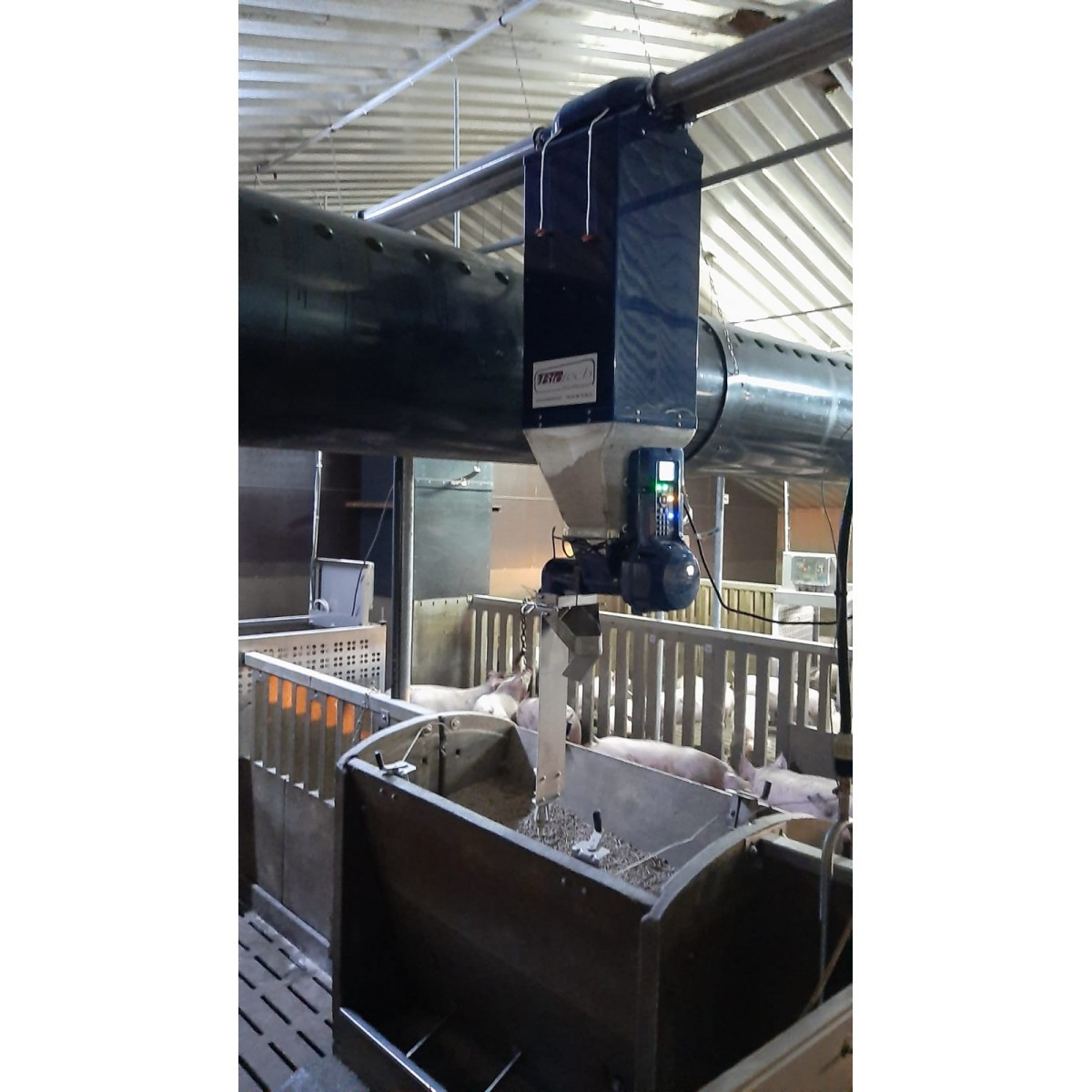 automatic pig farm feeding equipment and feed distribution system