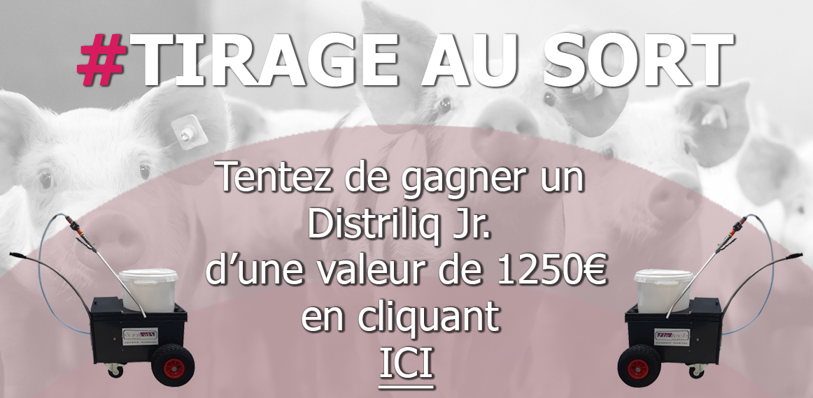 image%20%C3%A0%20cliquer%20pour%20jeu%20