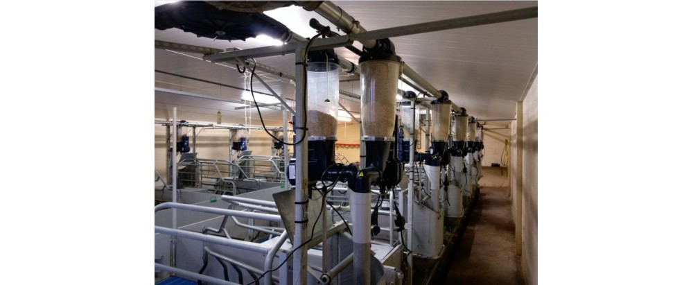 Des distributeurs multi-aliments de précision connectés à la station INRA de Saint-Gilles.