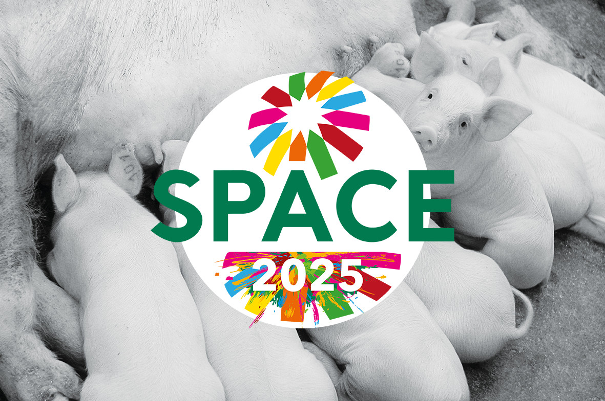 RV-BIOTECH au SPACE 2025 : découvrez nos nouveautés, le robot en action et des glaces à desguster RV-BIOTECH au SPACE 2025 : découvrez nos nouveautés, le robot en action et des glaces à desguster