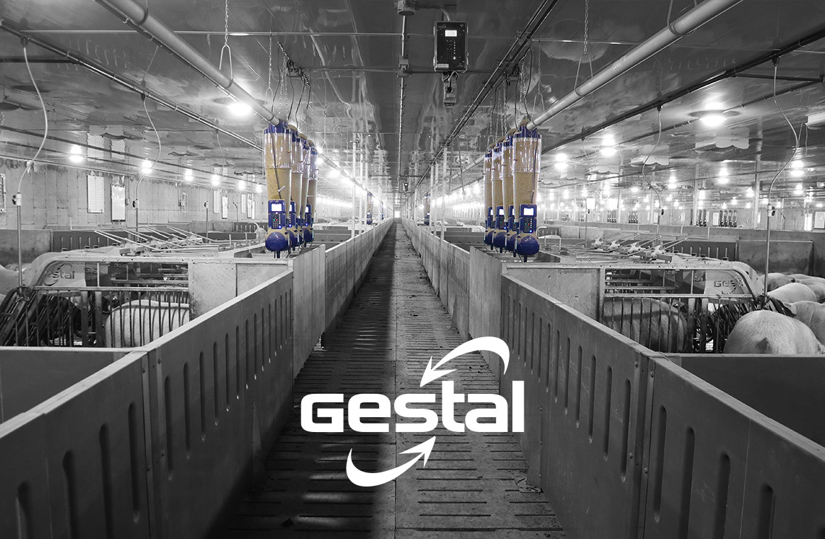 Pourquoi les éleveurs choisissent le système d’alimentation Gestal ?